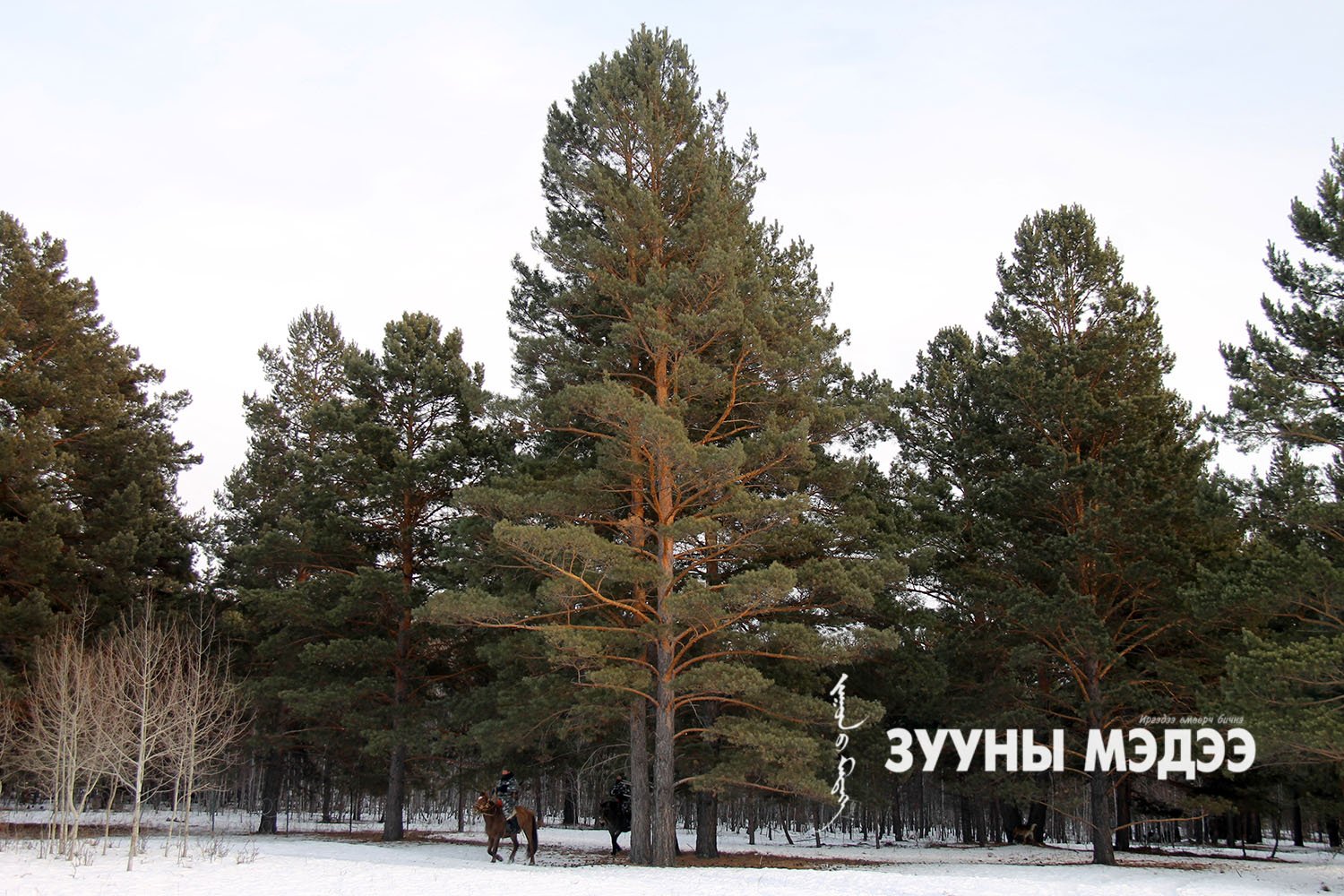 Фото: Монгол Улсын хил тайван байна